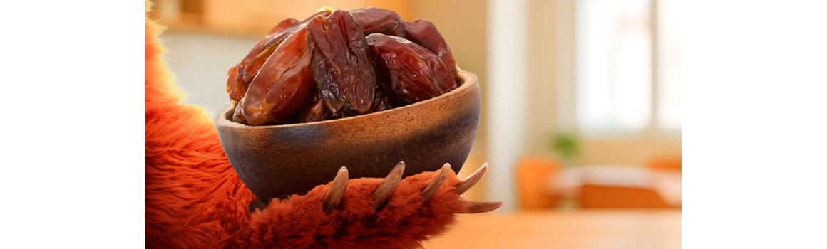 Jak vybrat správné datle? Grizly poradí