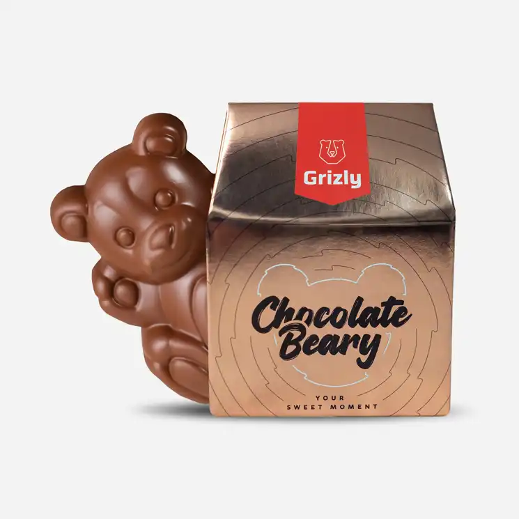 Čokoládový medvídek