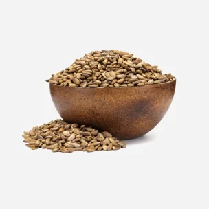 Ostropestřec mariánský BIO