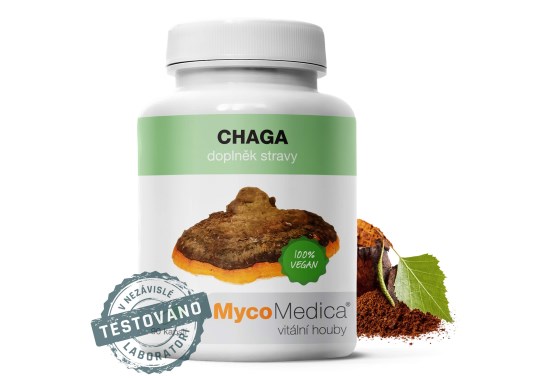 Chaga