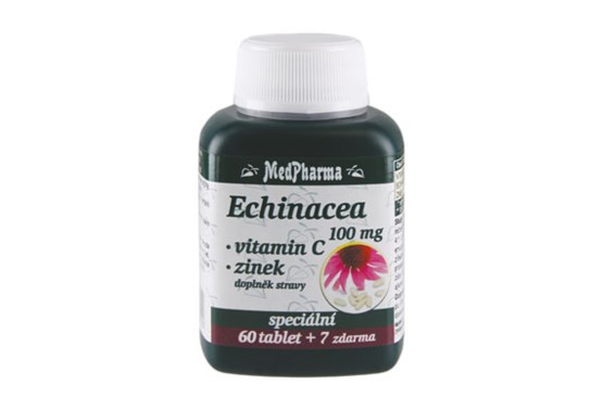 Echinacea 100 mg + vitamin C + zinek 67 tablet