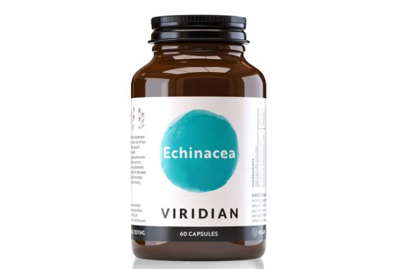 Echinacea