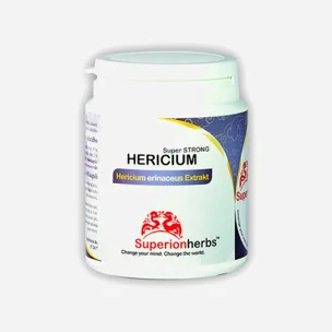 HERICIUM, Lví hříva