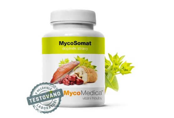 MycoSomat 90 tablet